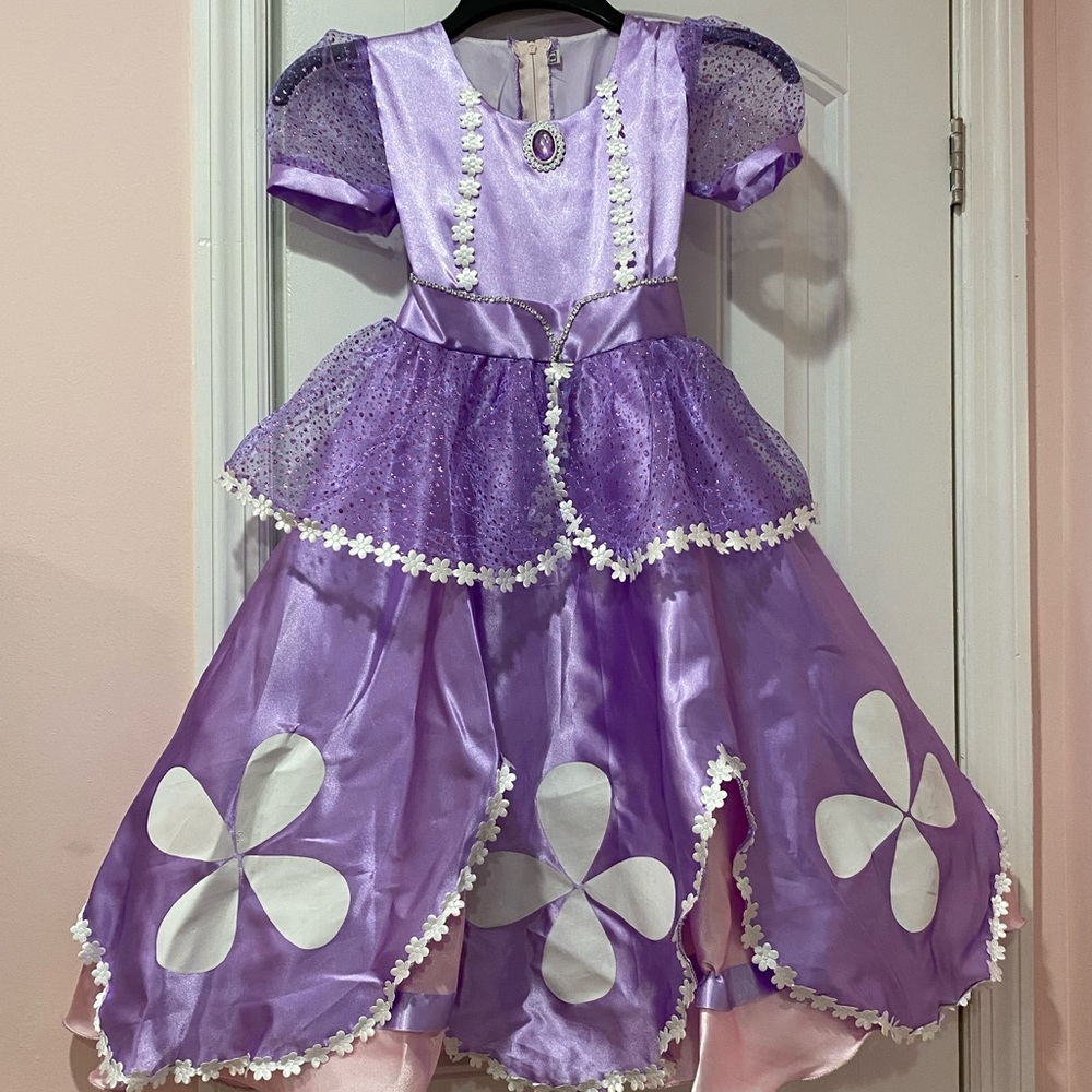 Sofia the first inspired costume. Size 6-8 girls.
